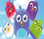 Bird Match Master